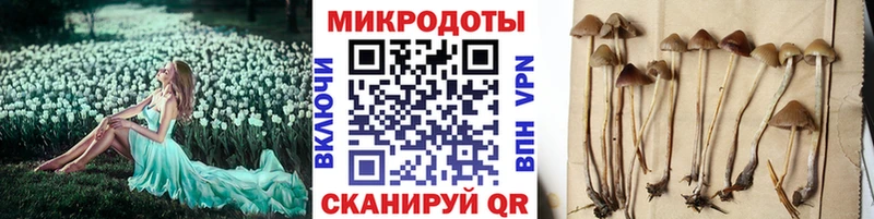 Псилоцибиновые грибы ЛСД  где можно купить   Благодарный 