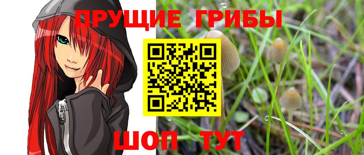 Псилоцибиновые грибы прущие грибы Благодарный